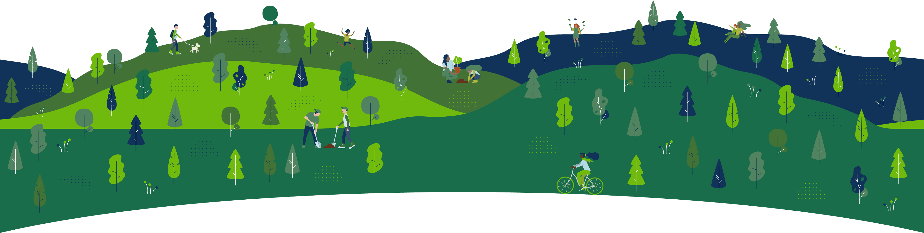 TREEDRIVECO backdrop